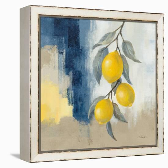 Lemons From the South II-Silvia Vassileva-Framed Stretched Canvas