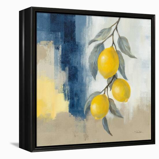 Lemons From the South II-Silvia Vassileva-Framed Stretched Canvas