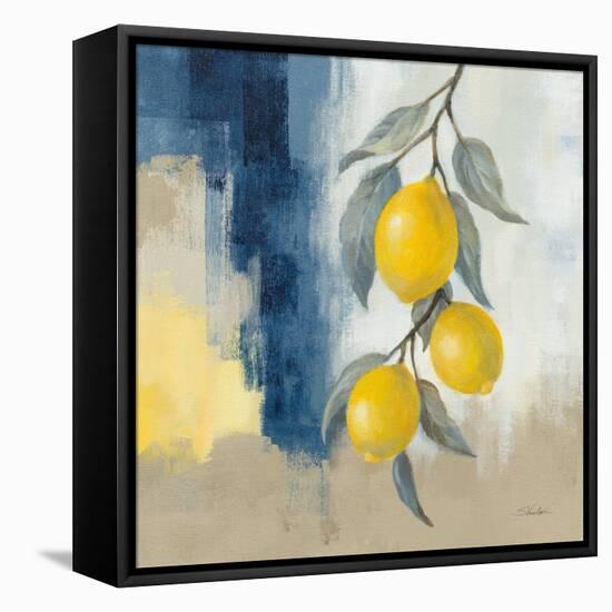 Lemons From the South II-Silvia Vassileva-Framed Stretched Canvas