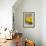 Lemons I-Karyn Millet-Framed Photographic Print displayed on a wall