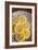 Lemons II-Karyn Millet-Framed Photographic Print