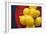 Lemons II-Karyn Millet-Framed Photographic Print