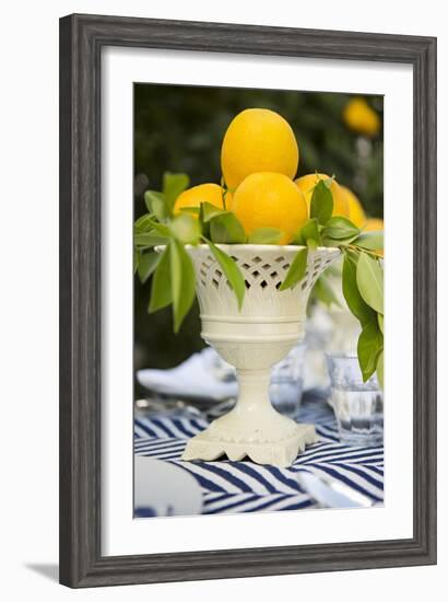 Lemons III-Karyn Millet-Framed Photographic Print