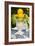 Lemons III-Karyn Millet-Framed Photographic Print