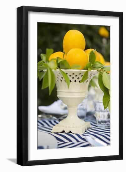 Lemons III-Karyn Millet-Framed Photographic Print