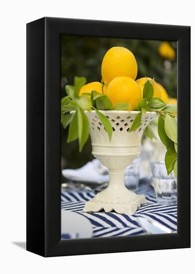 Lemons III-Karyn Millet-Framed Premier Image Canvas