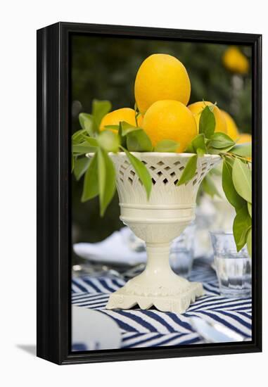 Lemons III-Karyn Millet-Framed Premier Image Canvas