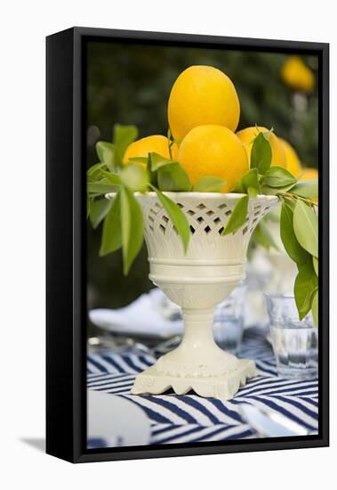 Lemons III-Karyn Millet-Framed Premier Image Canvas