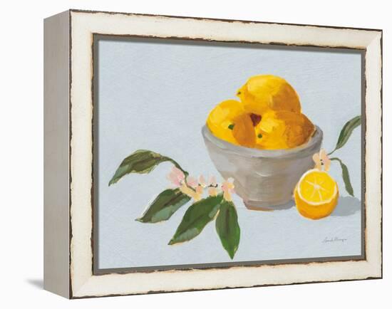 Lemons in Grey Bowl Blue Texture-Pamela Munger-Framed Stretched Canvas