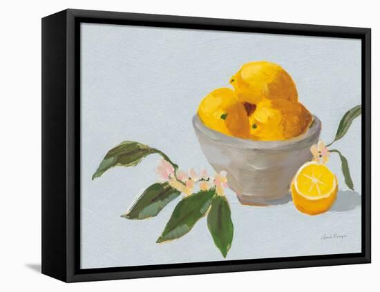 Lemons in Grey Bowl Blue Texture-Pamela Munger-Framed Stretched Canvas