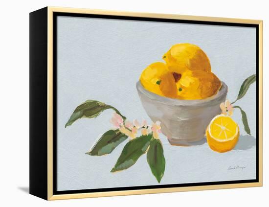 Lemons in Grey Bowl Blue Texture-Pamela Munger-Framed Stretched Canvas