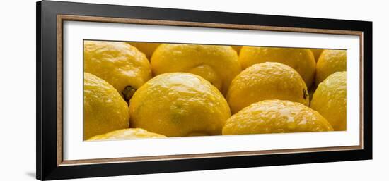 Lemons Lemons Lemons Number 3-Steve Gadomski-Framed Photographic Print