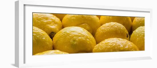 Lemons Lemons Lemons Number 3-Steve Gadomski-Framed Photographic Print