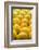 Lemons Lemons Lemons-Steve Gadomski-Framed Photographic Print