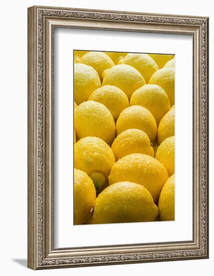 Lemons Lemons Lemons-Steve Gadomski-Framed Photographic Print