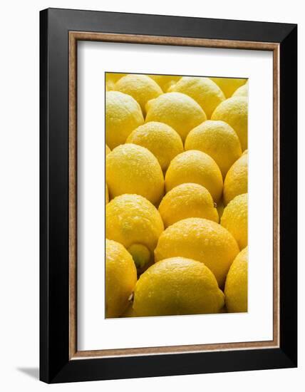 Lemons Lemons Lemons-Steve Gadomski-Framed Photographic Print