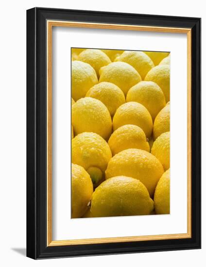 Lemons Lemons Lemons-Steve Gadomski-Framed Photographic Print