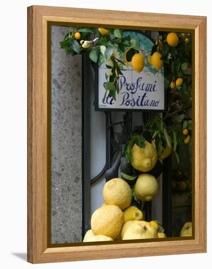 Lemons, Positano, Amalfi Coast, Campania, Italy-Walter Bibikow-Framed Premier Image Canvas