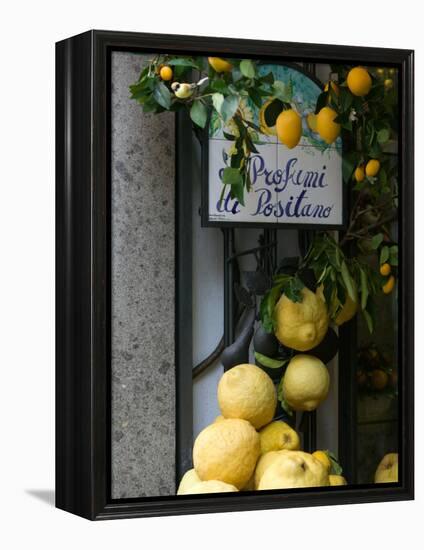 Lemons, Positano, Amalfi Coast, Campania, Italy-Walter Bibikow-Framed Premier Image Canvas