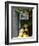 Lemons, Positano, Amalfi Coast, Campania, Italy-Walter Bibikow-Framed Photographic Print