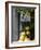 Lemons, Positano, Amalfi Coast, Campania, Italy-Walter Bibikow-Framed Photographic Print