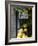 Lemons, Positano, Amalfi Coast, Campania, Italy-Walter Bibikow-Framed Photographic Print