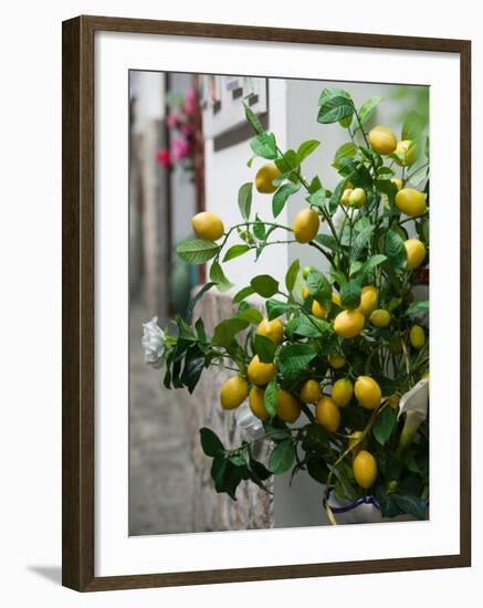 Lemons, Positano, Amalfi Coast, Campania, Italy-Walter Bibikow-Framed Premium Photographic Print