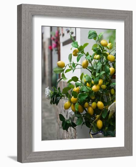 Lemons, Positano, Amalfi Coast, Campania, Italy-Walter Bibikow-Framed Photographic Print