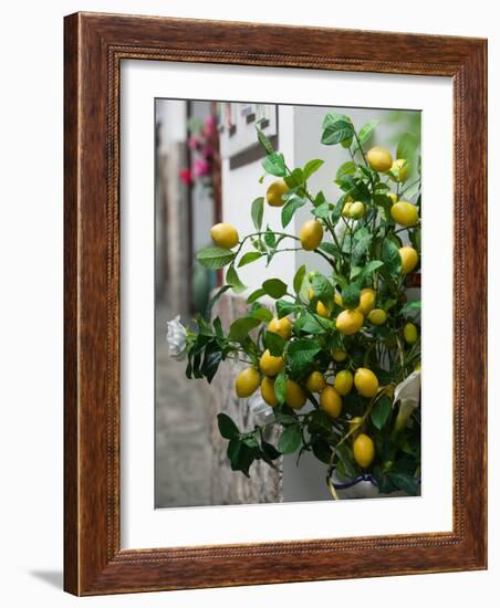 Lemons, Positano, Amalfi Coast, Campania, Italy-Walter Bibikow-Framed Photographic Print