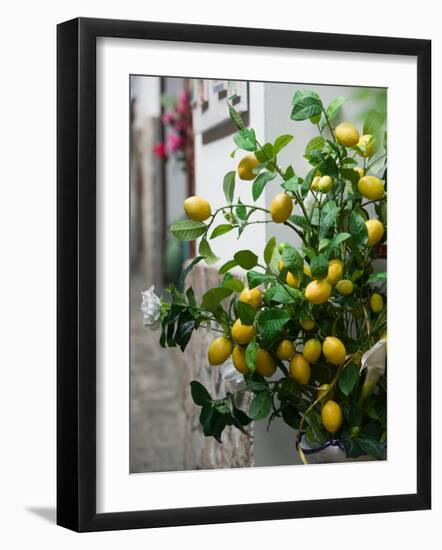 Lemons, Positano, Amalfi Coast, Campania, Italy-Walter Bibikow-Framed Photographic Print