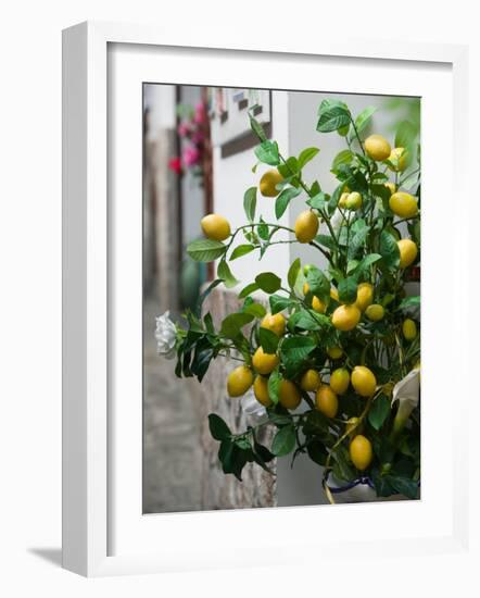 Lemons, Positano, Amalfi Coast, Campania, Italy-Walter Bibikow-Framed Photographic Print