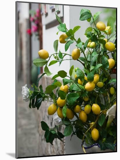 Lemons, Positano, Amalfi Coast, Campania, Italy-Walter Bibikow-Mounted Photographic Print