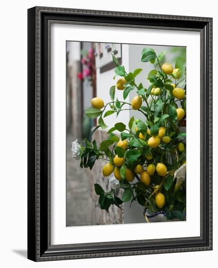 Lemons, Positano, Amalfi Coast, Campania, Italy-Walter Bibikow-Framed Photographic Print