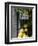 Lemons, Positano, Amalfi Coast, Campania, Italy-Walter Bibikow-Framed Photographic Print