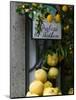 Lemons, Positano, Amalfi Coast, Campania, Italy-Walter Bibikow-Mounted Photographic Print