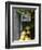 Lemons, Positano, Amalfi Coast, Campania, Italy-Walter Bibikow-Framed Photographic Print