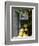 Lemons, Positano, Amalfi Coast, Campania, Italy-Walter Bibikow-Framed Premium Photographic Print