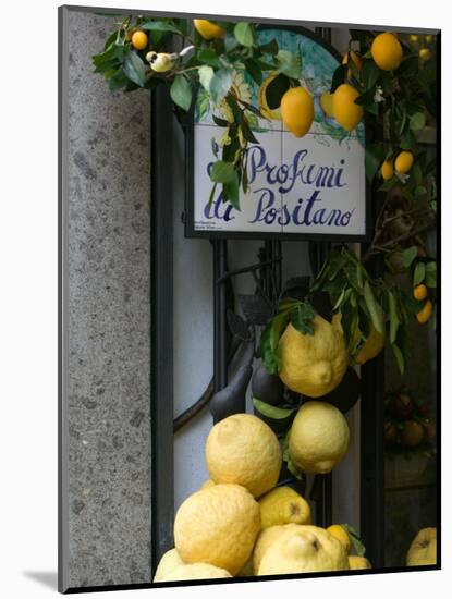 Lemons, Positano, Amalfi Coast, Campania, Italy-Walter Bibikow-Mounted Premium Photographic Print