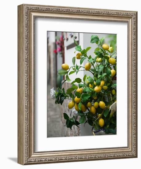 Lemons, Positano, Amalfi Coast, Campania, Italy-Walter Bibikow-Framed Photographic Print