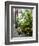 Lemons, Positano, Amalfi Coast, Campania, Italy-Walter Bibikow-Framed Photographic Print