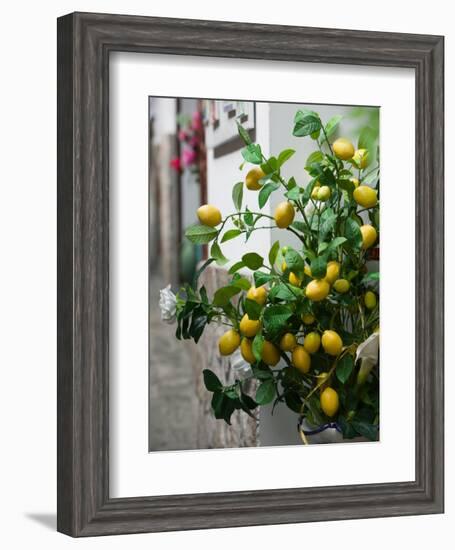 Lemons, Positano, Amalfi Coast, Campania, Italy-Walter Bibikow-Framed Photographic Print