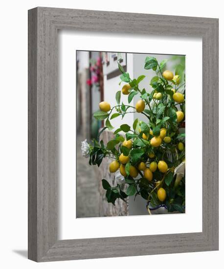 Lemons, Positano, Amalfi Coast, Campania, Italy-Walter Bibikow-Framed Photographic Print