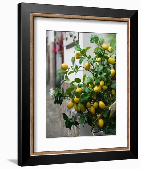 Lemons, Positano, Amalfi Coast, Campania, Italy-Walter Bibikow-Framed Photographic Print