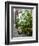 Lemons, Positano, Amalfi Coast, Campania, Italy-Walter Bibikow-Framed Photographic Print