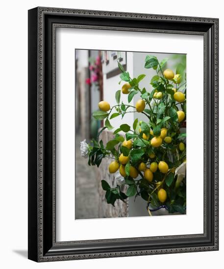 Lemons, Positano, Amalfi Coast, Campania, Italy-Walter Bibikow-Framed Photographic Print