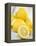 Lemons-Alena Hrbkova-Framed Premier Image Canvas