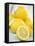 Lemons-Alena Hrbkova-Framed Premier Image Canvas