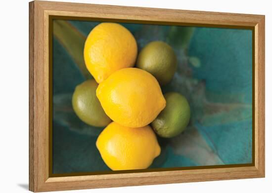 Lemons-Karyn Millet-Framed Premier Image Canvas