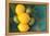 Lemons-Karyn Millet-Framed Premier Image Canvas