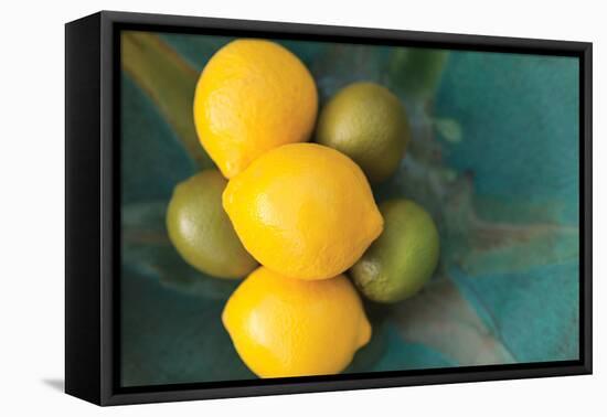 Lemons-Karyn Millet-Framed Premier Image Canvas